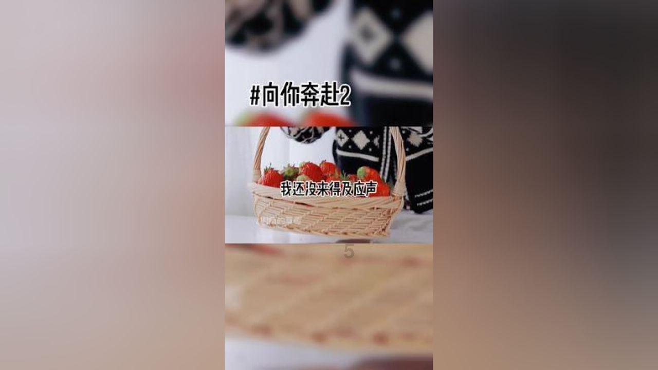 团大连市委开展“冬日暖蜂”关爱快递外卖小哥活动