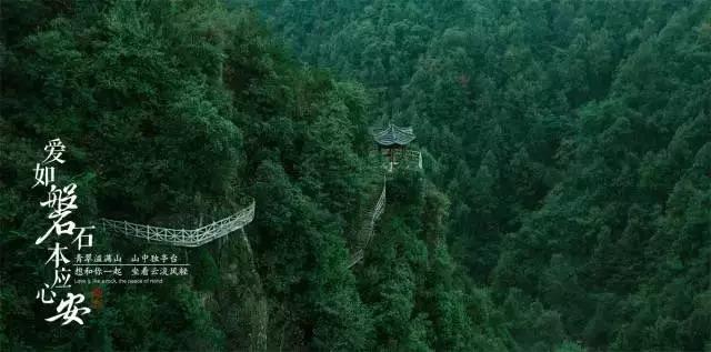 救援菠萝舞者