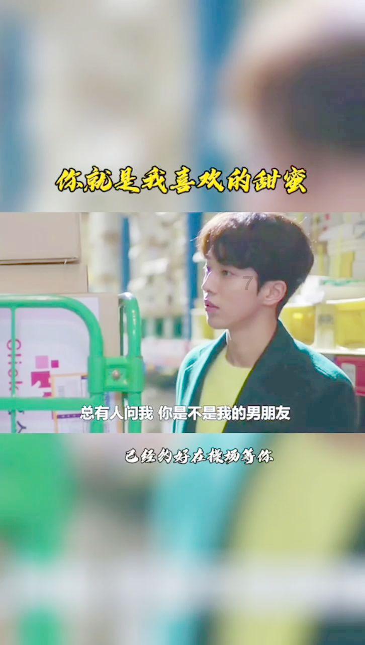猫体温多少正常游戏画面